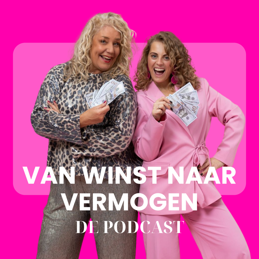 van winst naar vermogen